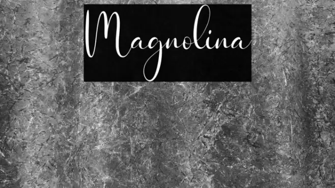 Magnolina Schriftart examples