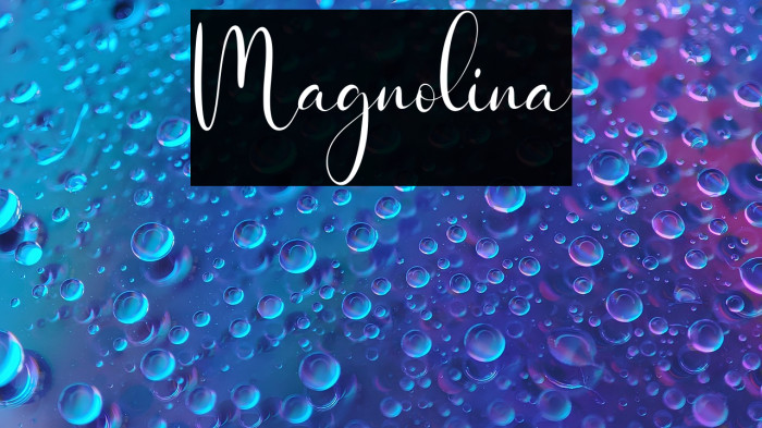 Magnolina Example 2