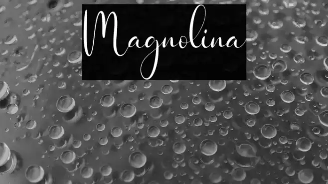 Magnolina Schriftart examples
