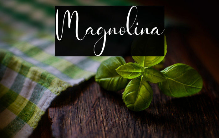 Magnolina Example 3