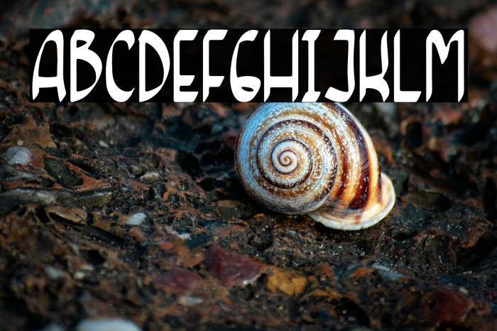 Magnum Saber Example 2