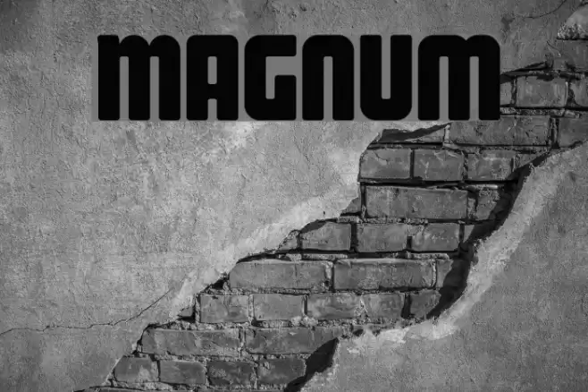 Magnum خط examples