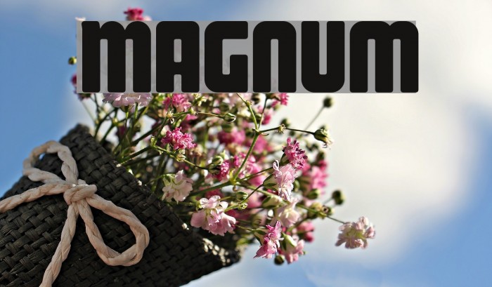Magnum Font examples