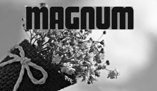 Magnum خط examples