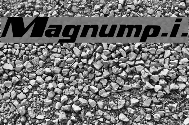 Magnump.i. Fonte examples