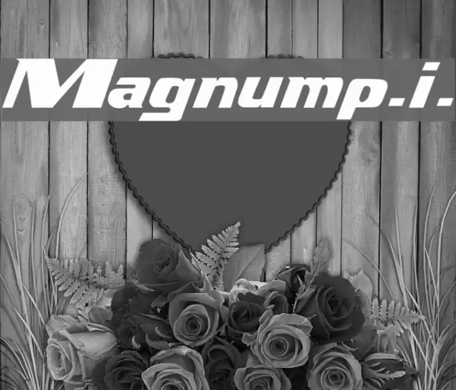 Magnump.i. Fonte examples
