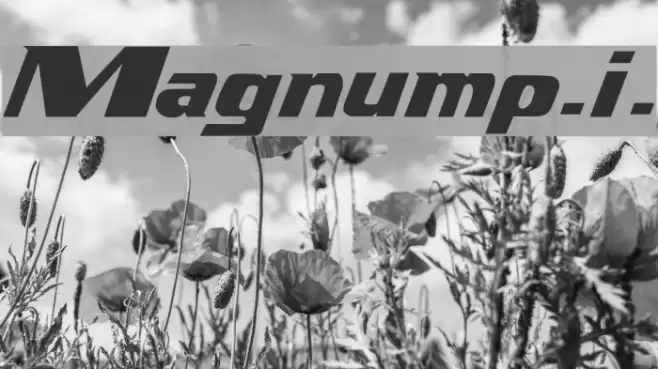 Magnump.i. Fonte examples