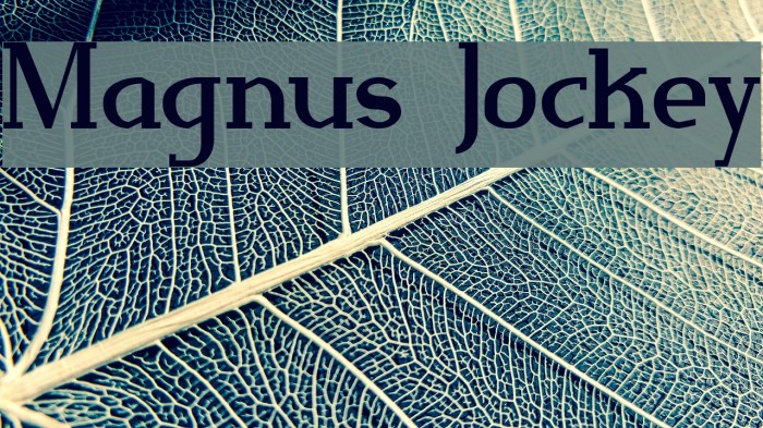 Magnus Jockey Example 2