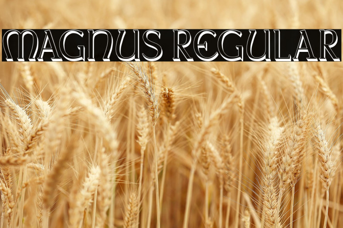 Magnus Regular Example 1