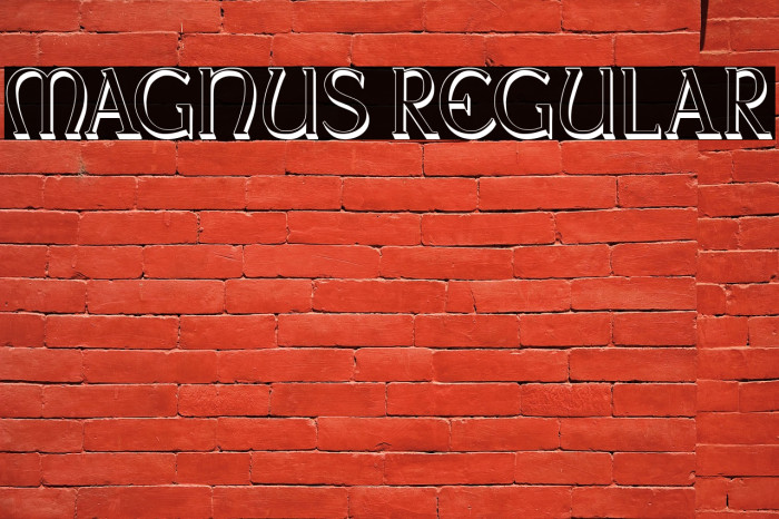 Magnus Regular Example 2