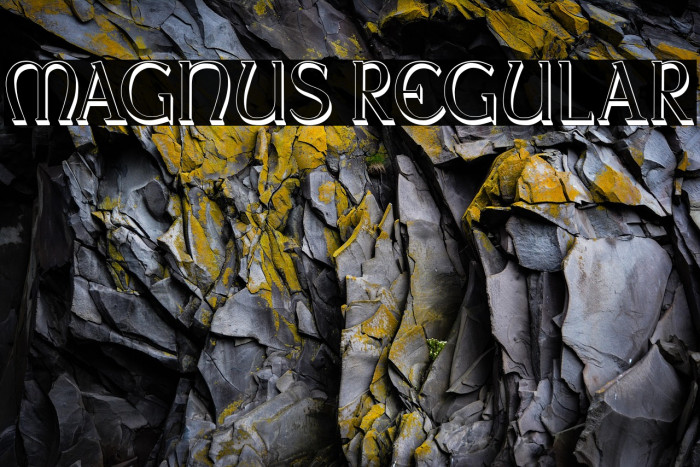 Magnus Regular Example 3