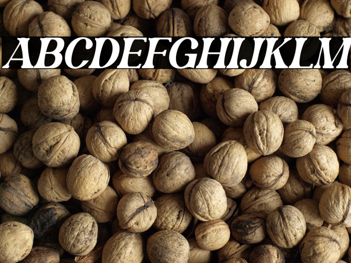 Magofah Italic Example 2