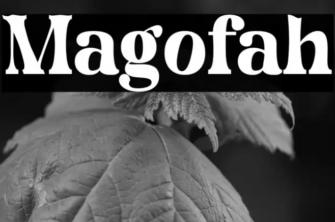 Magofah Font examples