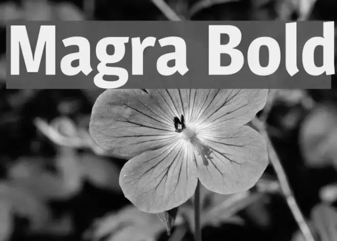 Magra Bold Font examples