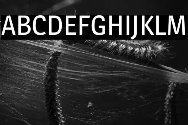 Magra Schriftart examples