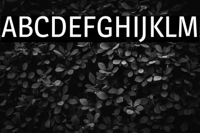 Magra Schriftart examples