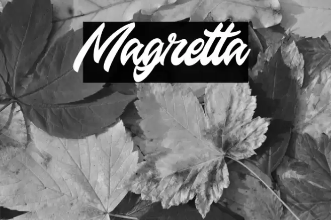 Magretta Font examples