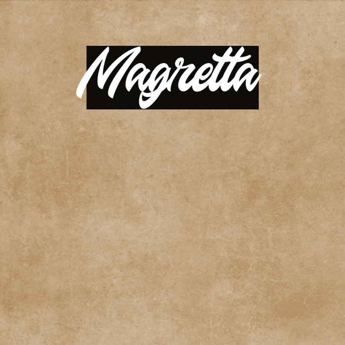 Magretta Example 3