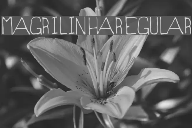 MagrilinhaRegular Font examples
