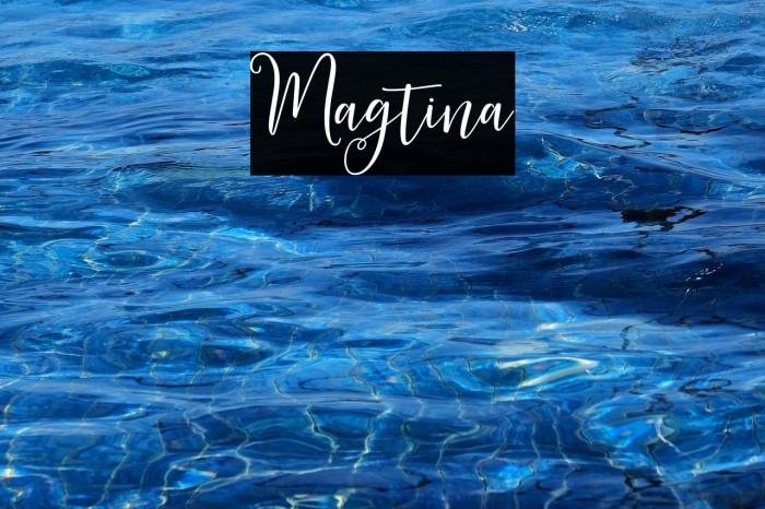 Magtina Example 1