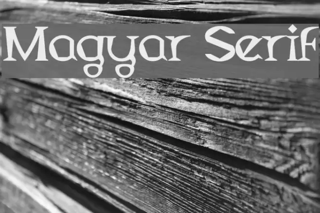 Magyar Serif Example 2