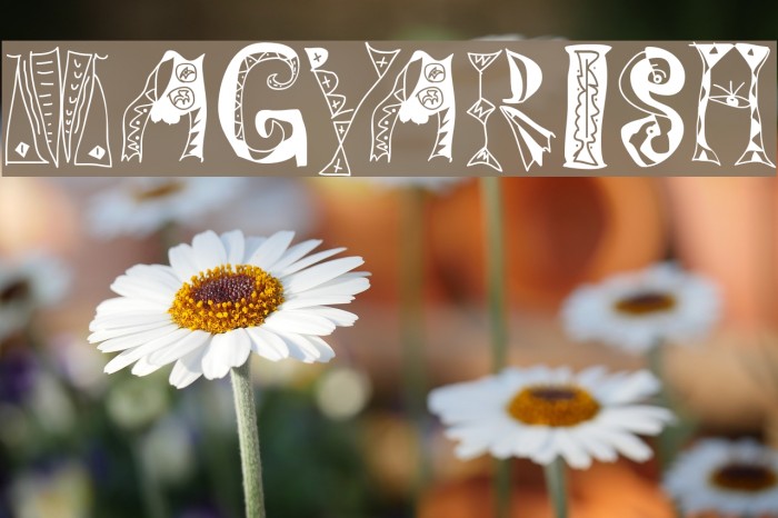 Magyarish Font examples