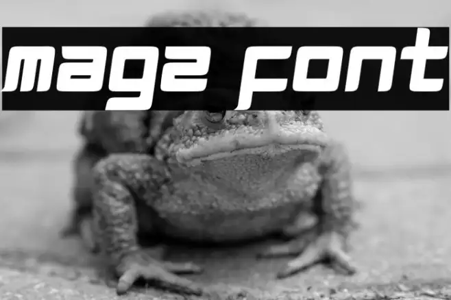 Magz Example 2