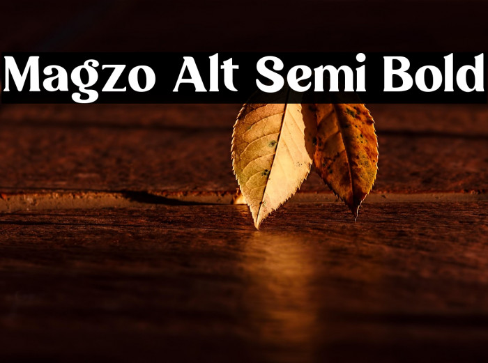 Magzo Alt Semi Bold Example 2