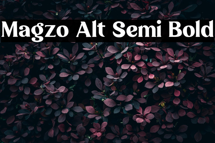 Magzo Alt Semi Bold Example 3