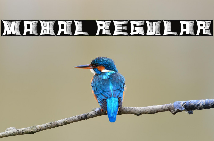 Mahal Regular Example 2