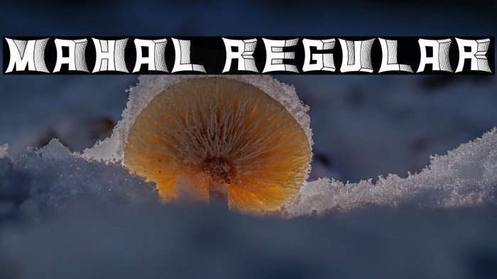 Mahal Regular Example 3