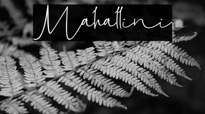 Mahallini Example 1