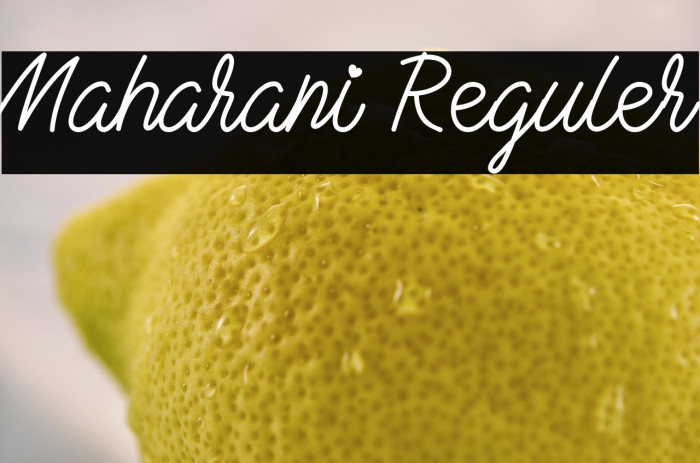 Maharani Reguler Example 1