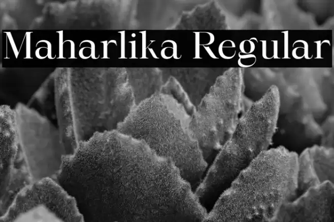 Maharlika Regular Font examples