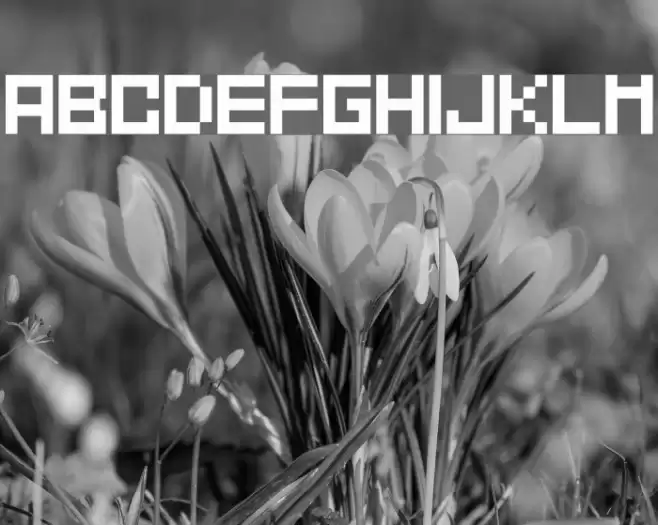 Mahawa फ़ॉन्ट examples