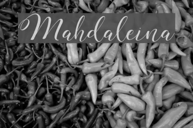 Mahdaleina Font examples