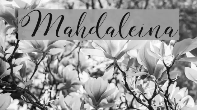 Mahdaleina Font examples