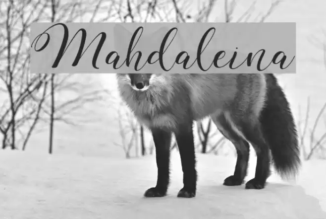 Mahdaleina Font examples