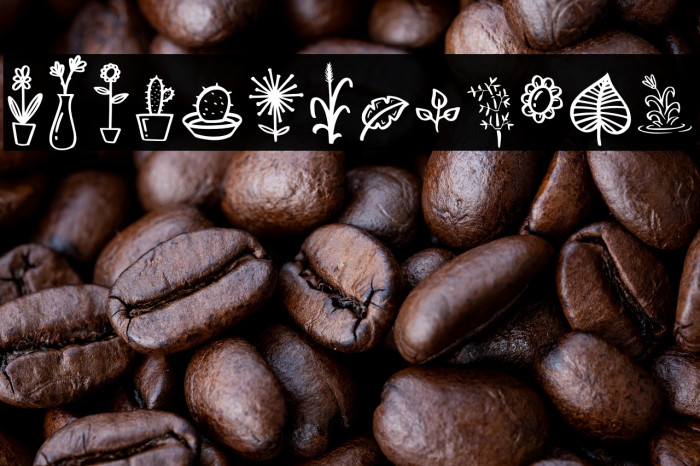 Mahogany Garden Doodle Example 1