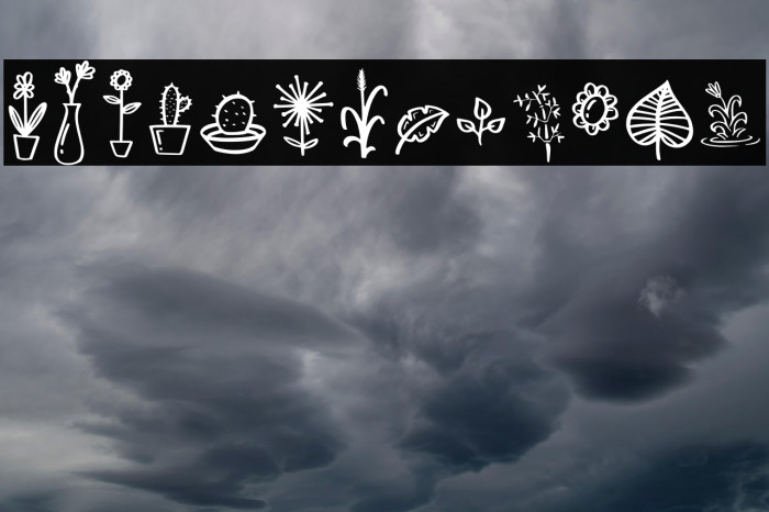 Mahogany Garden Doodle Example 2