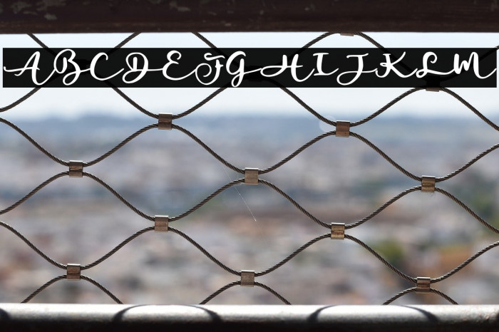 Mahogany Garden Script Example 3