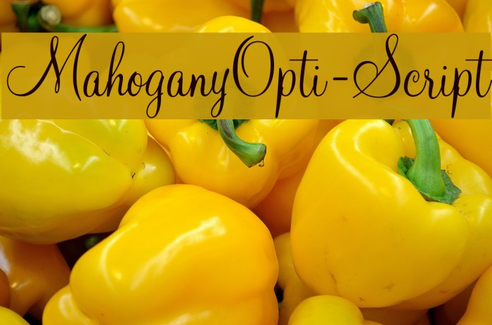 MahoganyOpti-Script Font examples
