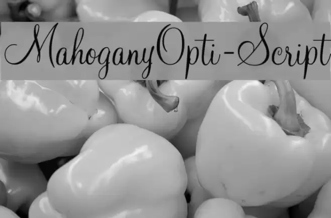 MahoganyOpti-Script Font examples