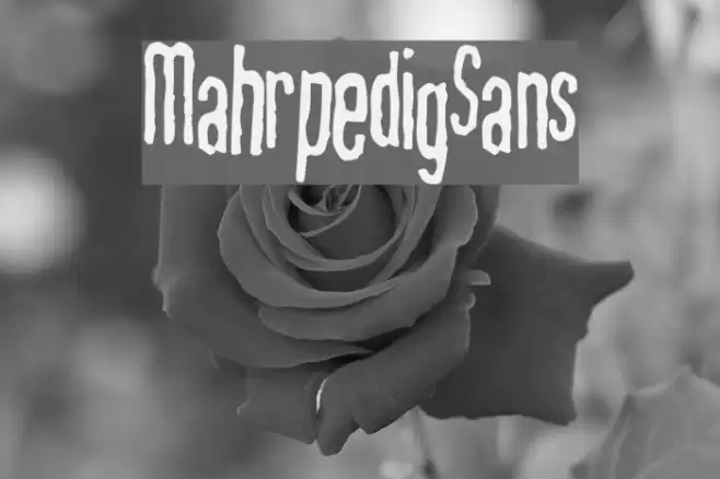 MahrpedigSans Font examples
