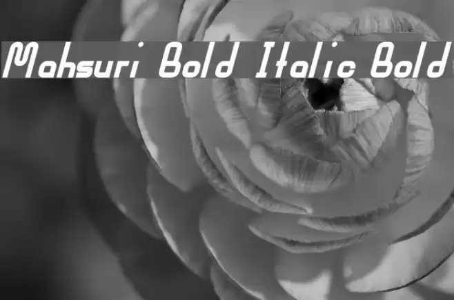 Mahsuri Bold Italic Bold Font examples