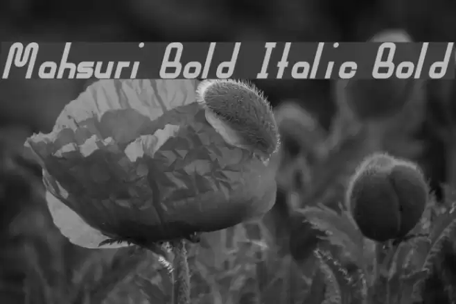 Mahsuri Bold Italic Bold Font examples
