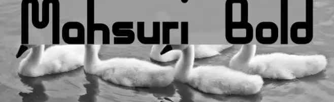 Mahsuri Bold Example 1