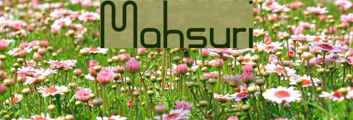 Mahsuri Font examples