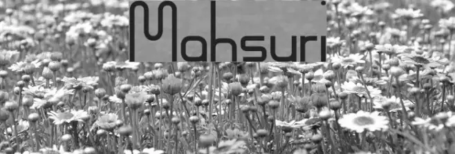 Mahsuri Example 2