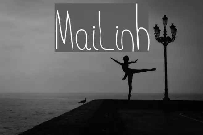 MaiLinh Example 1